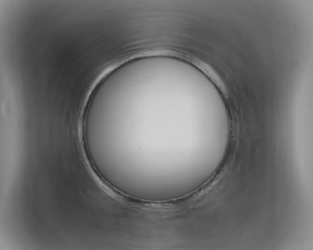 X0000113240805200909100921