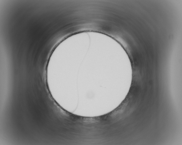 X0000113240807200909100921
