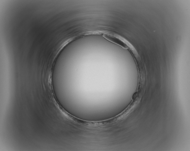 X0000113240809200909100921