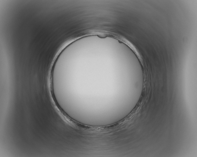 X0000113240811200909100921