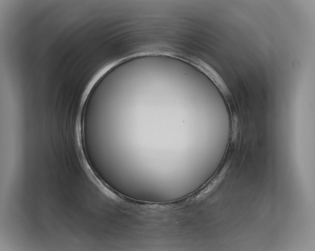 X0000113240812200909100921