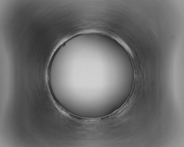 X0000113240813200909100921