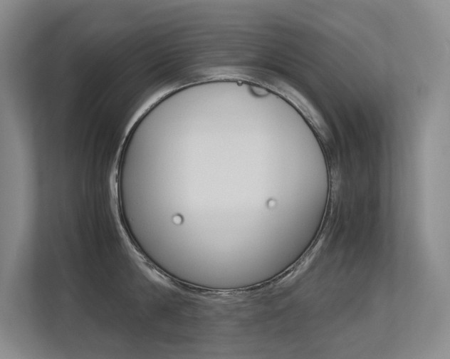 X0000113240814200909100921