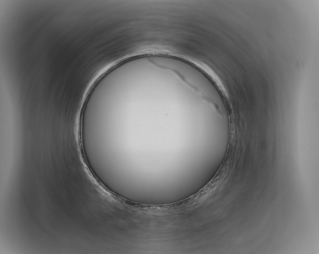 X0000113240815200909100921