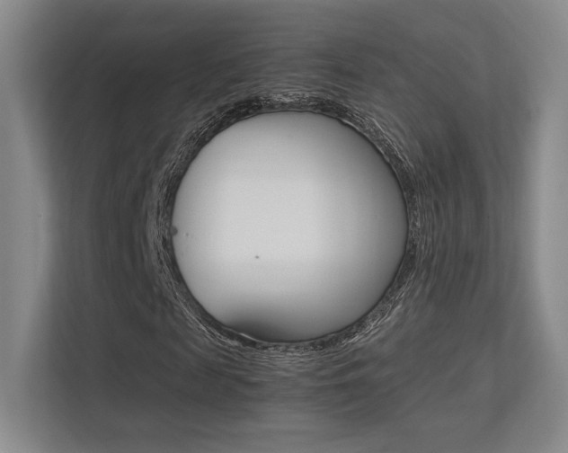 X0000113240817200909100921