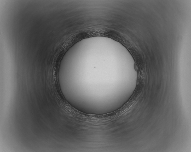 X0000113240818200909100921