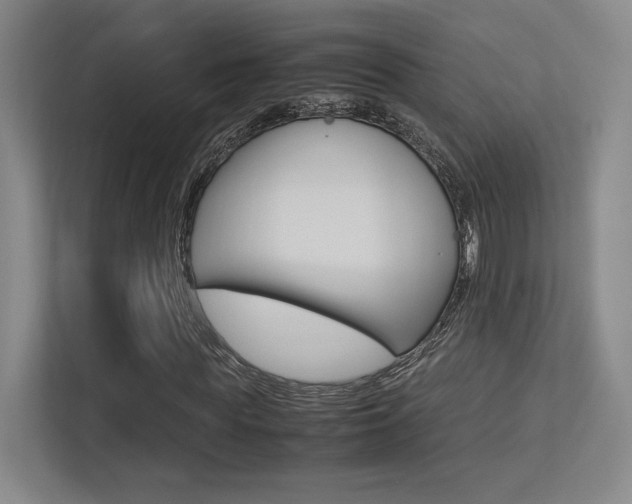 X0000113240819200909100921