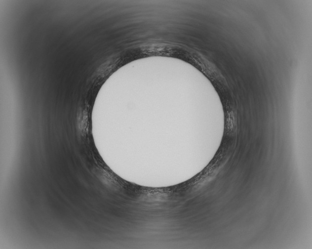 X0000113240820200909100921