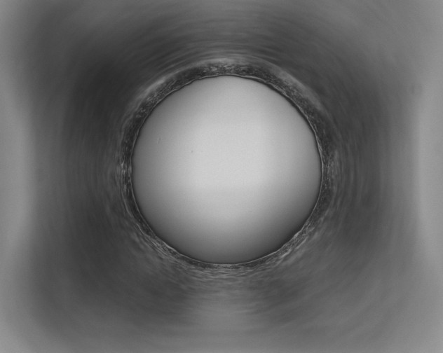 X0000113240822200909100921