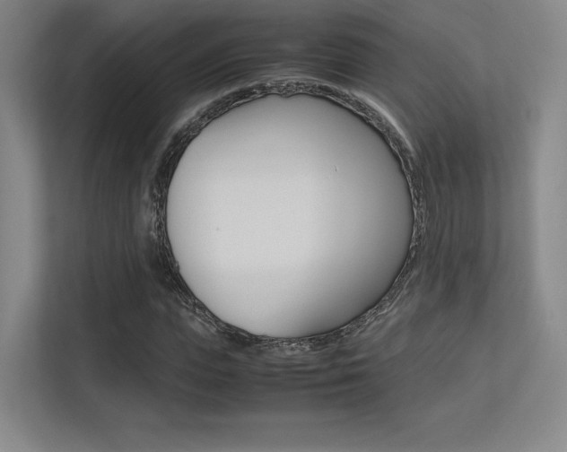 X0000113240823200909100921