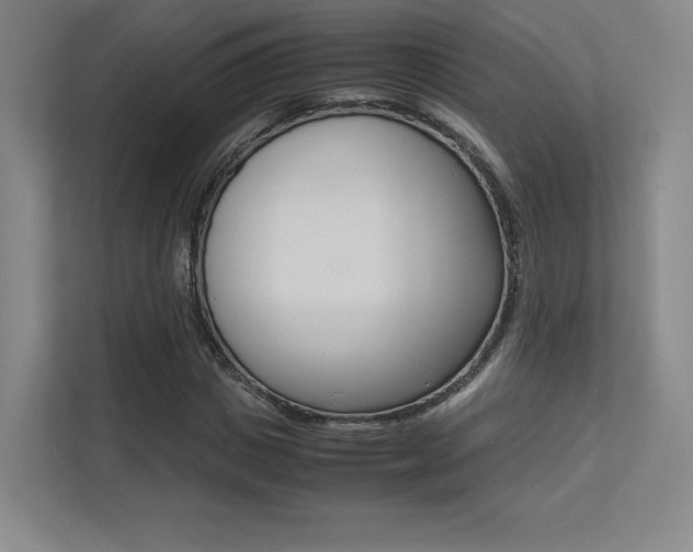 X0000113240825200909100921
