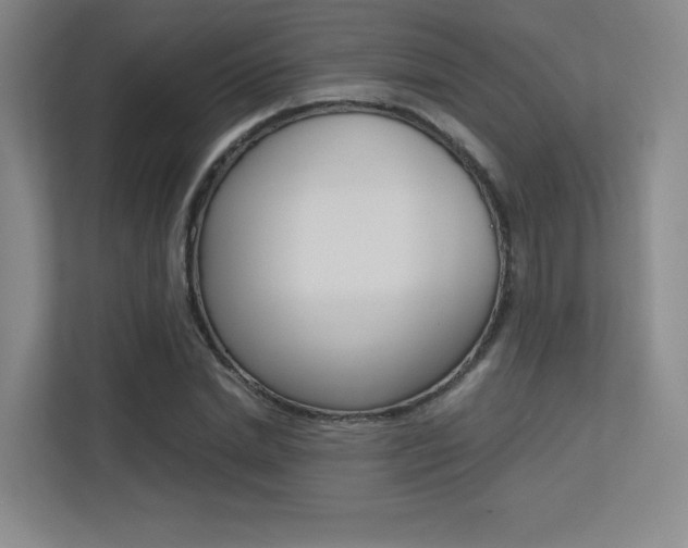 X0000113240830200909100921
