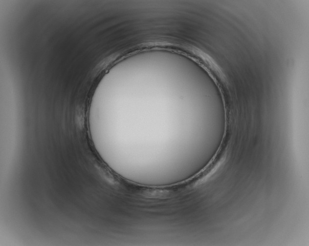X0000113240833200909100921