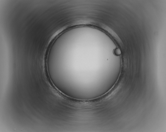 X0000113240834200909100921
