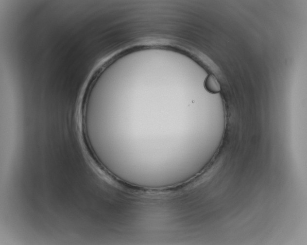 X0000113240840200909100921