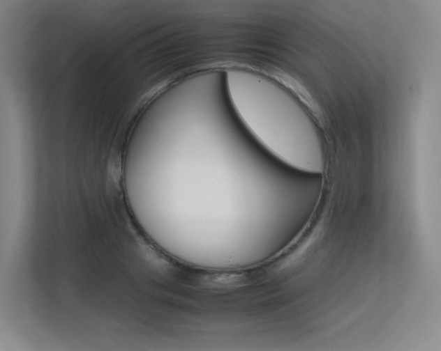X0000113240841200909100921