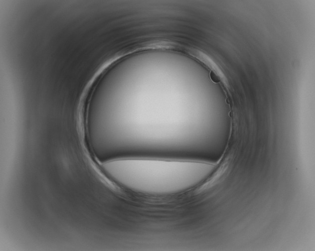 X0000113240843200909100921