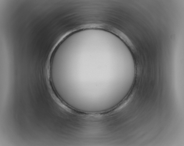 X0000113240844200909100921