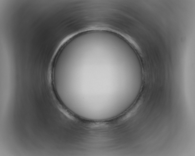 X0000113240846200909100921