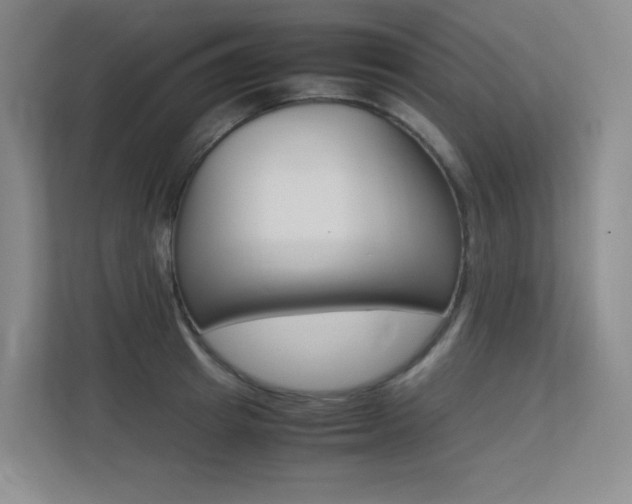 X0000113240849200909100921