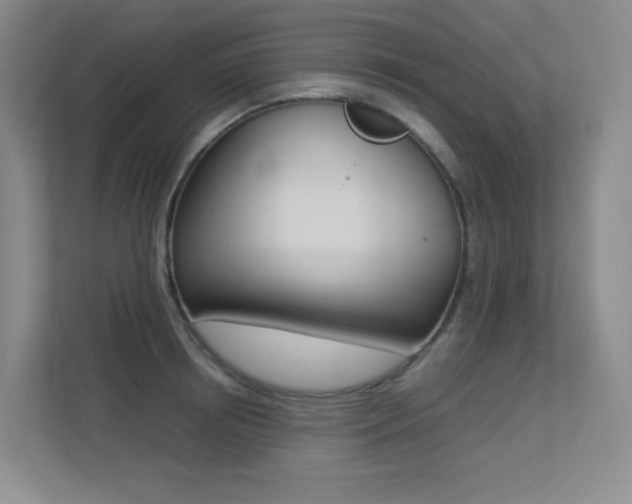 X0000113240850200909100921