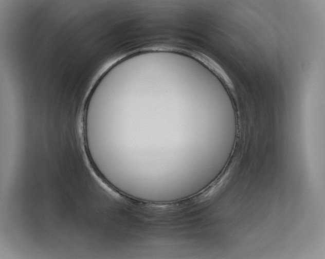 X0000113240855200909100921