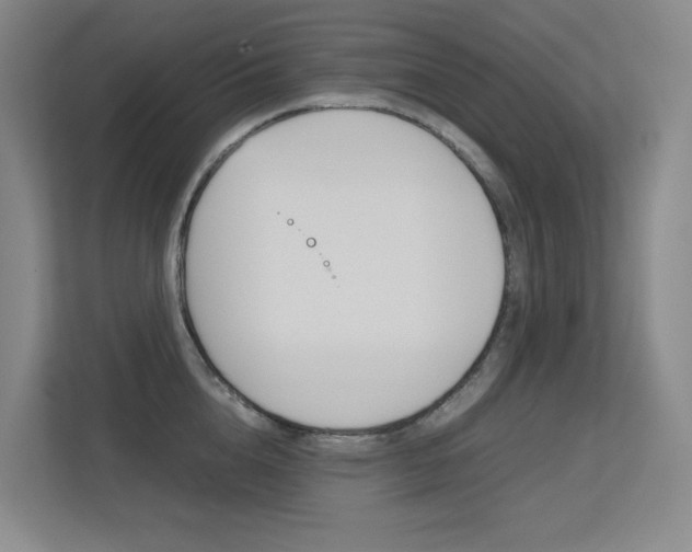 X0000113240856200909100921