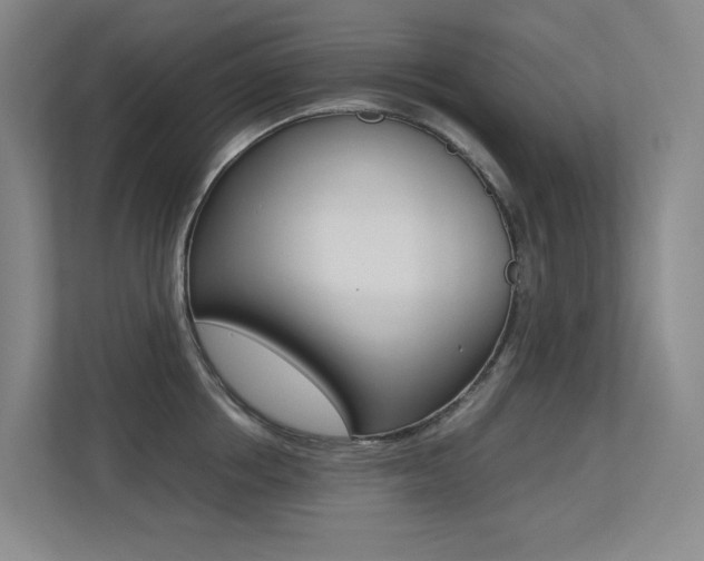 X0000113240858200909100921