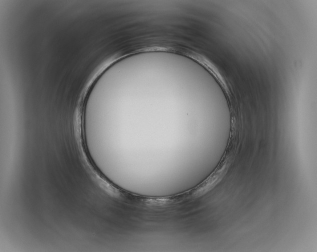 X0000113240859200909100921