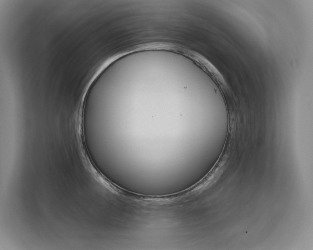 X0000113240860200909100921