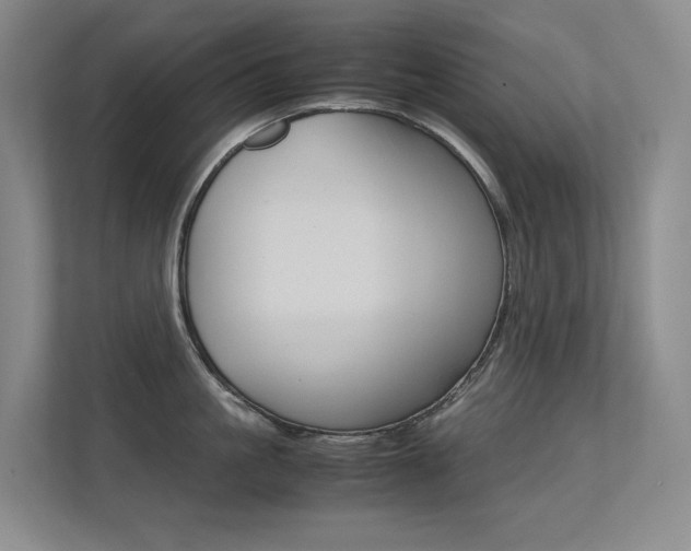 X0000113240861200909100921