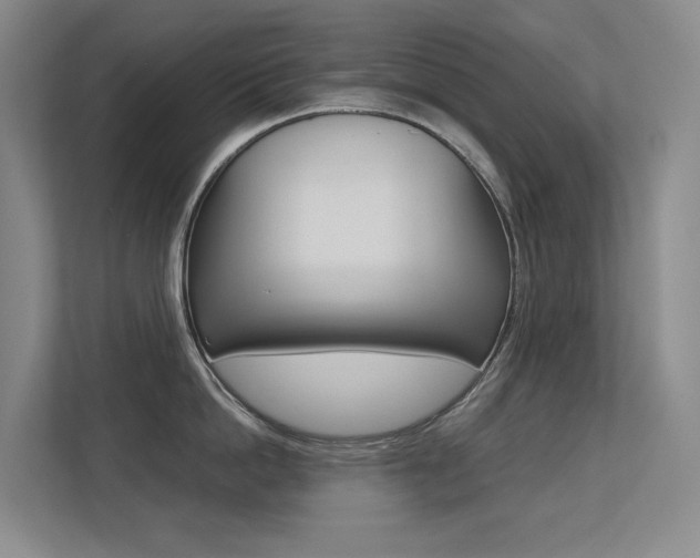 X0000113240862200909100921