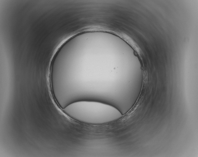 X0000113240863200909100921