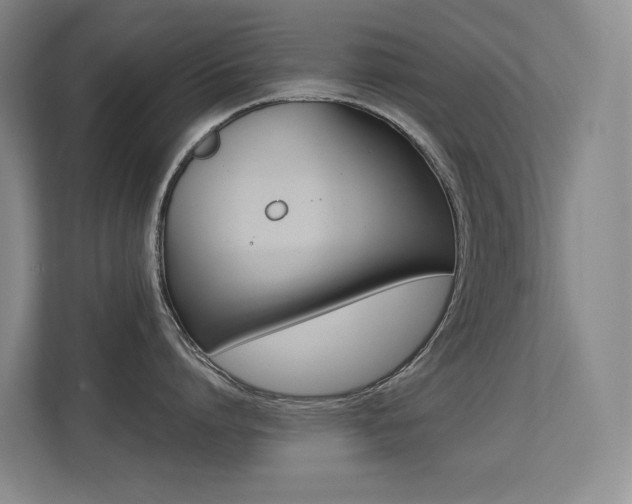 X0000113240864200909100921