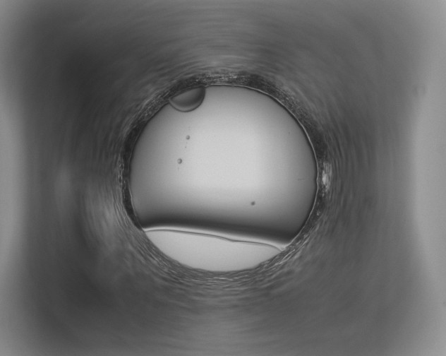 X0000113240867200909100921