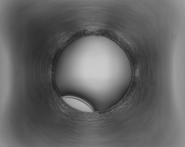 X0000113240868200909100921