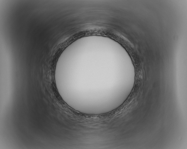 X0000113240869200909100921
