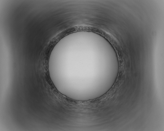 X0000113240870200909100921