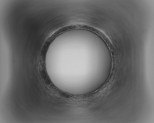 X0000113240871200909100921