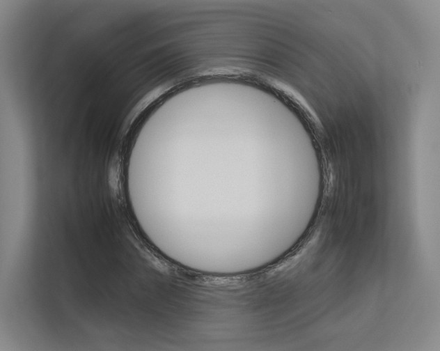 X0000113240874200909100921