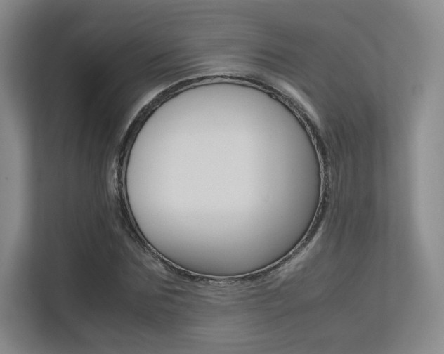 X0000113240875200909100921