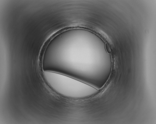X0000113240876200909100921