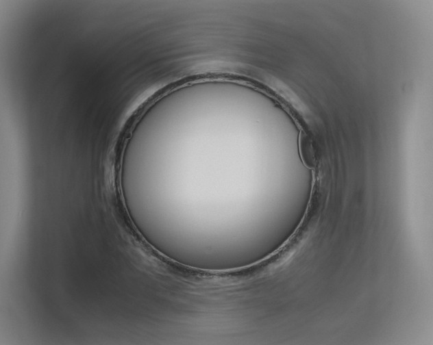 X0000113240877200909100921