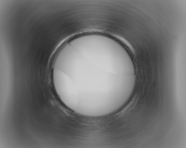 X0000113240878200909100921