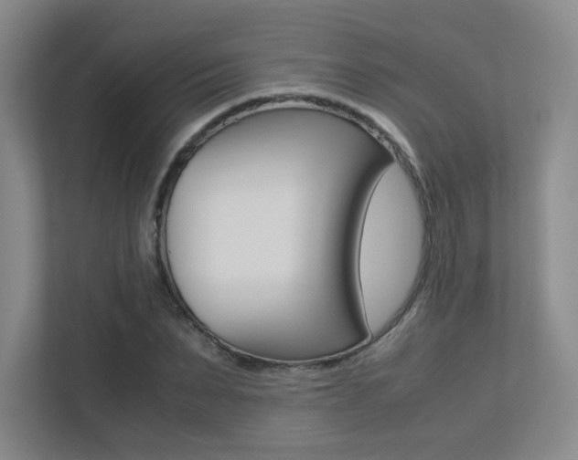 X0000113240879200909100921