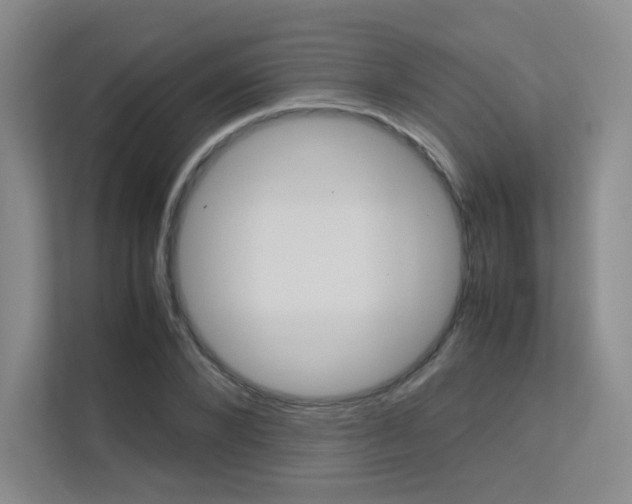 X0000113240880200909100921