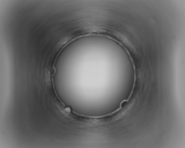X0000113240881200909100921