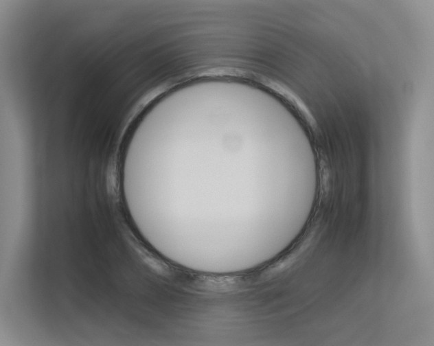 X0000113240882200909100920