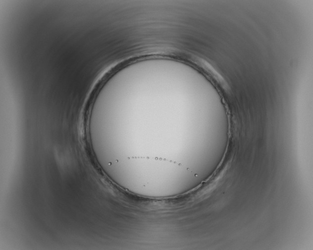 X0000113240883200909100920