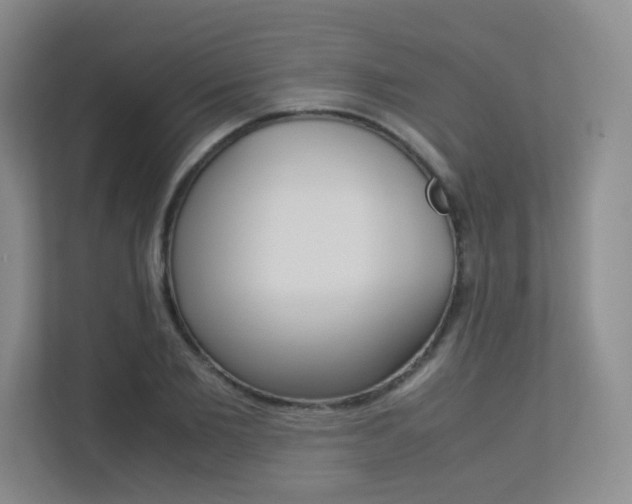 X0000113240885200909100920